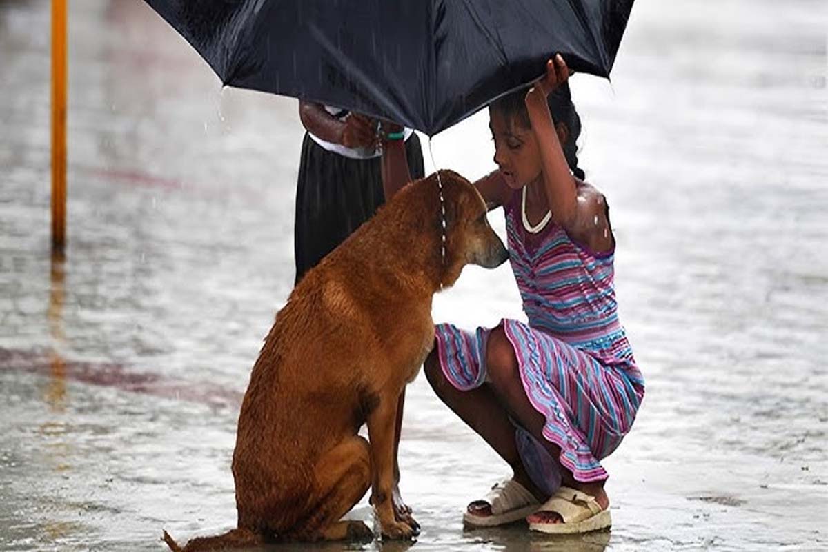 The Gentle Power of Kindness